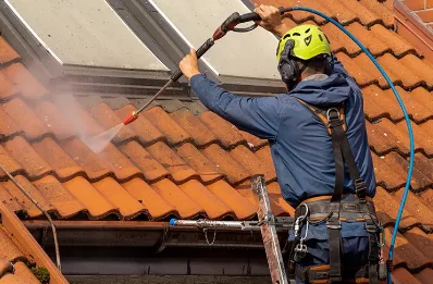 Démoussage et hydrofuge de toiture à Neaux